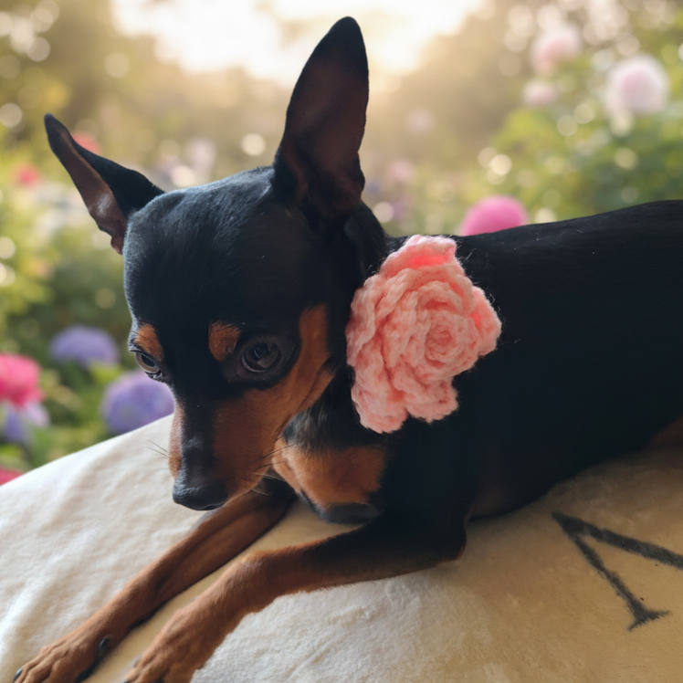 Crochet Flower For Dog Collar