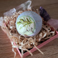 Vanilla Scented Bath Bomb