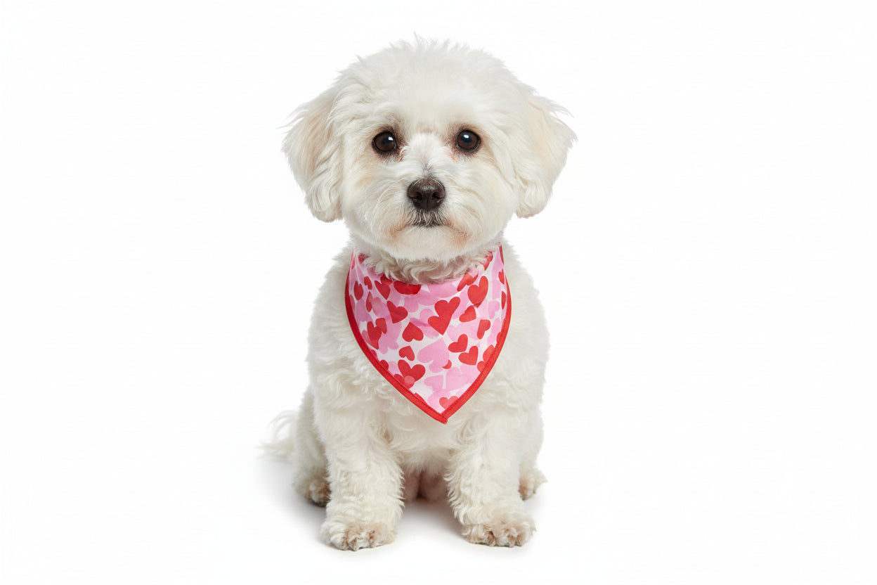 Dog Bandana With Hearts
