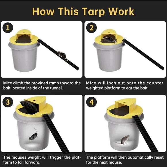 Humane Mouse Trap