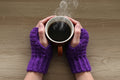 Purple Fingerless Gloves