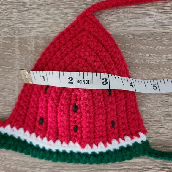 Crochet Watermelon Bralette