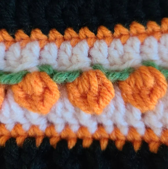 Pumpkin Patch Crochet Beanie