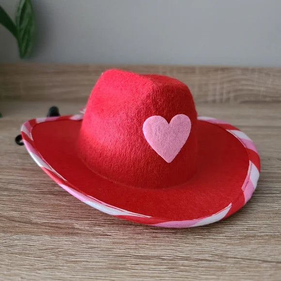 Valentine's Day Dog Hat
