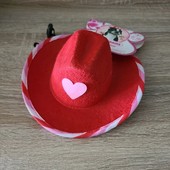 Valentine's Day Dog Hat