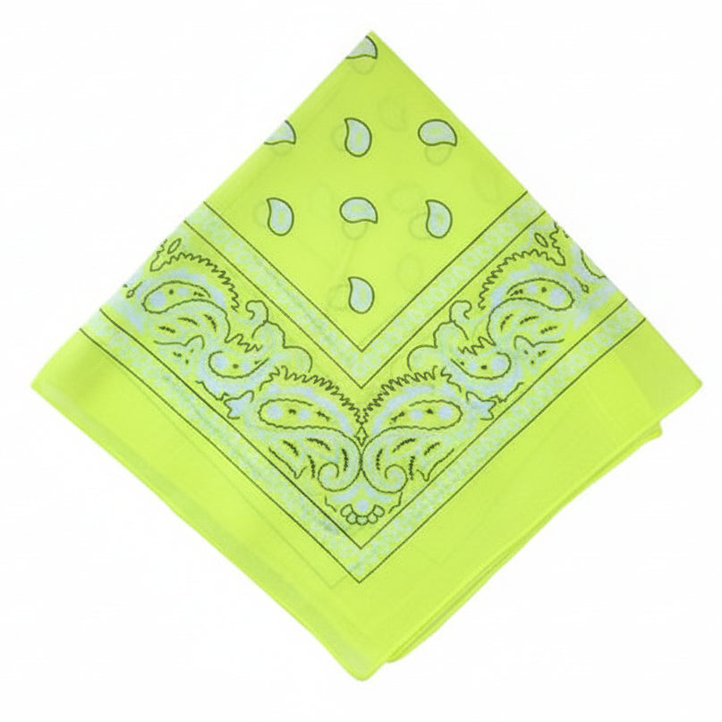 Cotton Paisley Bandana