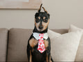 Valentine's Day Dog Tie